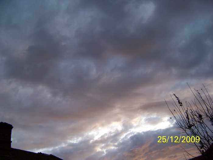 100_7872 - Sfarsit de decembrie 2009