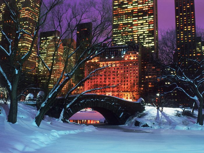 Central%20Park%20in%20Winter,%20New%20York%20City - DESKTOP NEW YORK