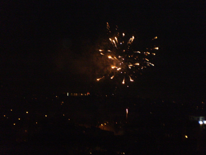 PB210284 - REVELION 2010