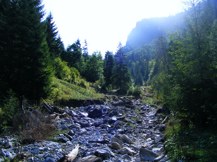 DSCF6307 - muntii Rodnei