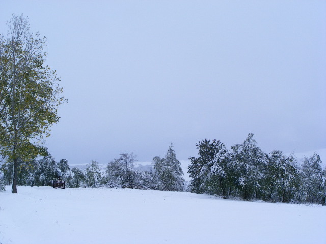 DSCF7313 - ninge in Maramu