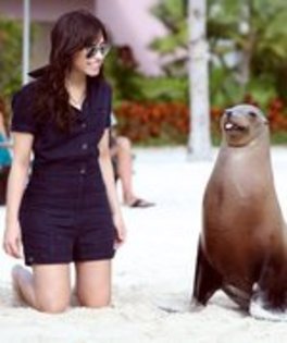 XSUCRLGEXNZELCEGHLF - demi lovato in bahamas joc cu delfinii si focile