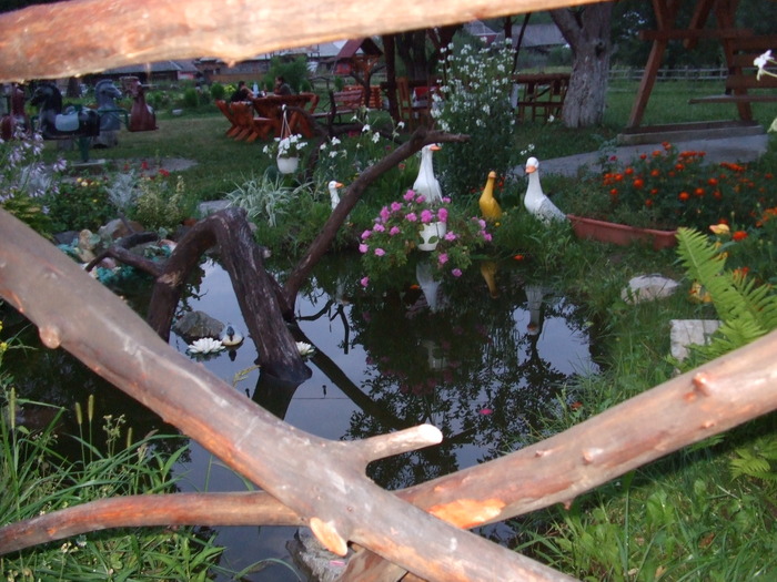 Pic 413 - alta vedere