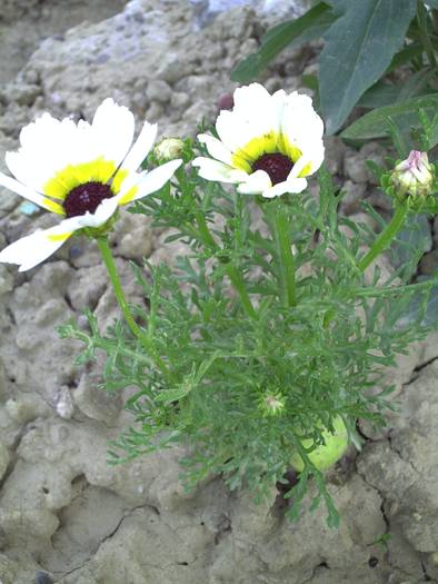 PICT0013