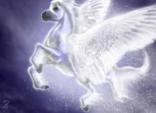unicorns-8