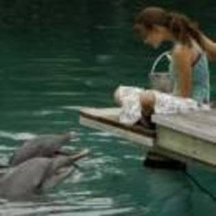 895929707 - phoebe tonkin