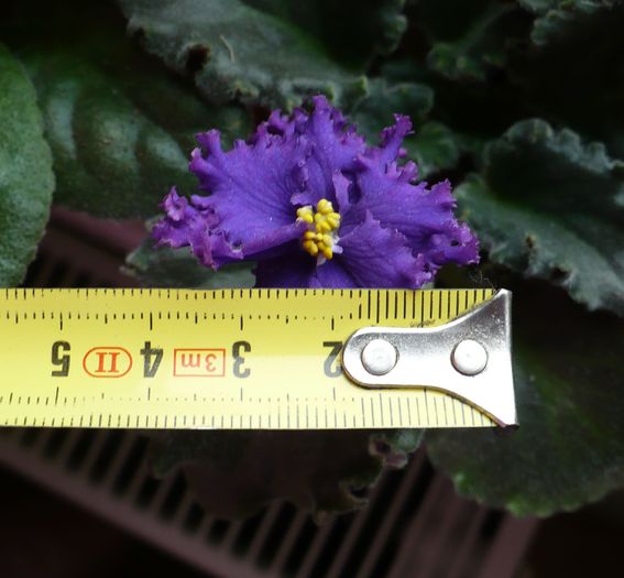 P1160494