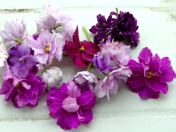 SG105538 - 2013 - Rafturi-Grup