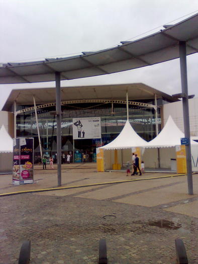 Imagine1187 - ApiMondia