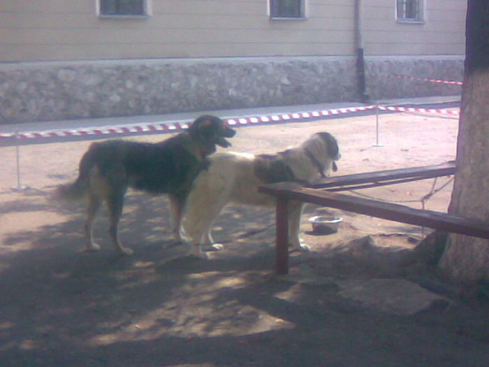 Imag047