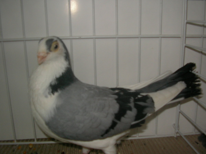 SANY0116