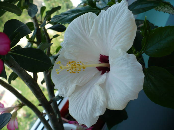 P1120627