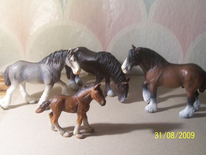 100_5974 - animale SCHLEICH