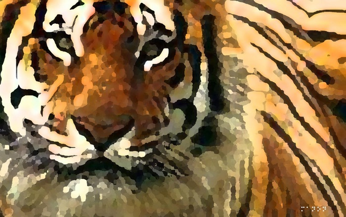 131_tiger_1440x900