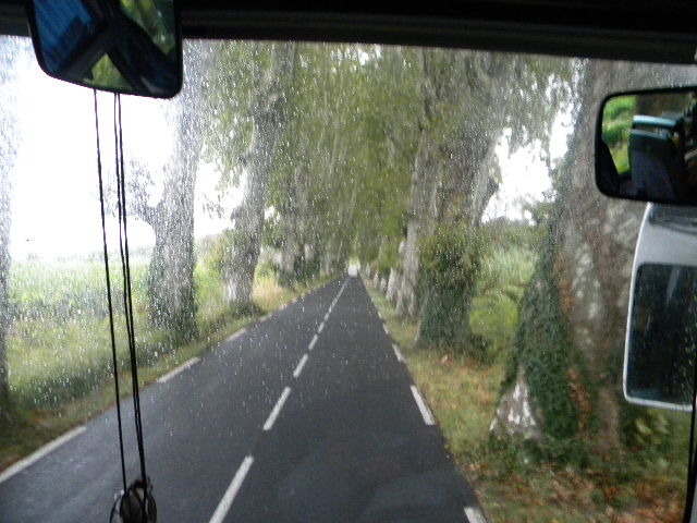 DSCN1602