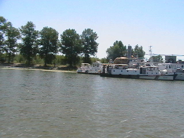 IMGA0781