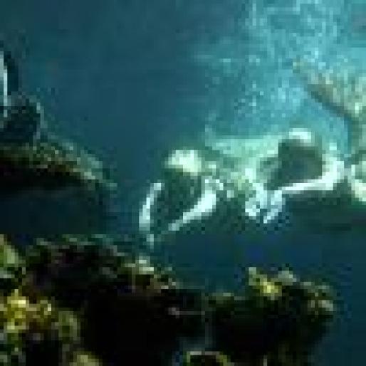 rikki si emma inotand