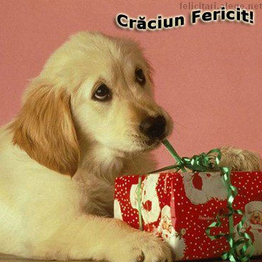 craciun_fericit_2