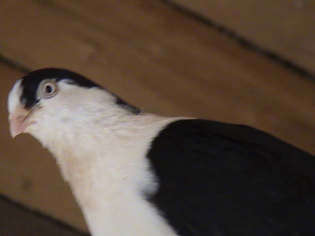 DSC01691