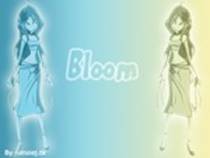 bloomm - Bloom