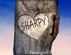 sharpy