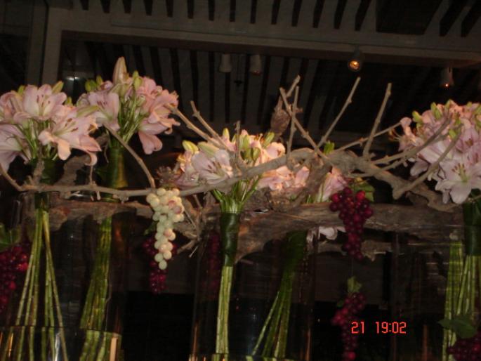 459  Israel - Eilat - 2008 ISRAEL NOIEMBRIE