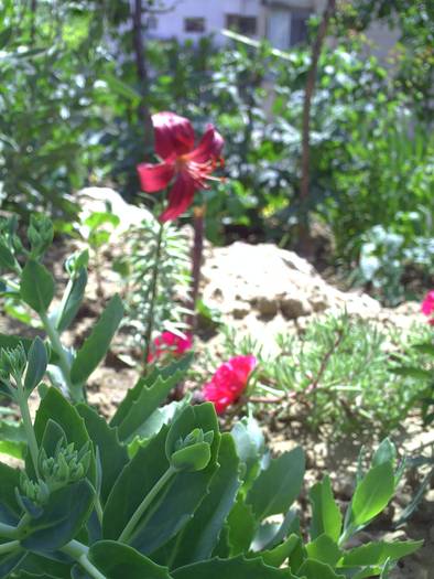 PICT0069