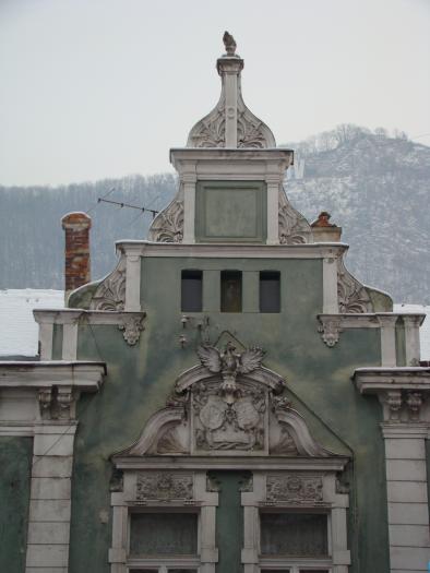 DSC05735 - poze Ianuarie 2009