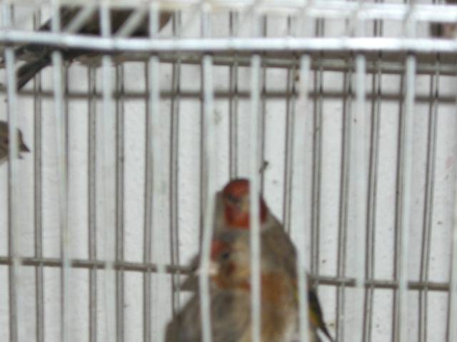 Copy (2) of CIMG0869