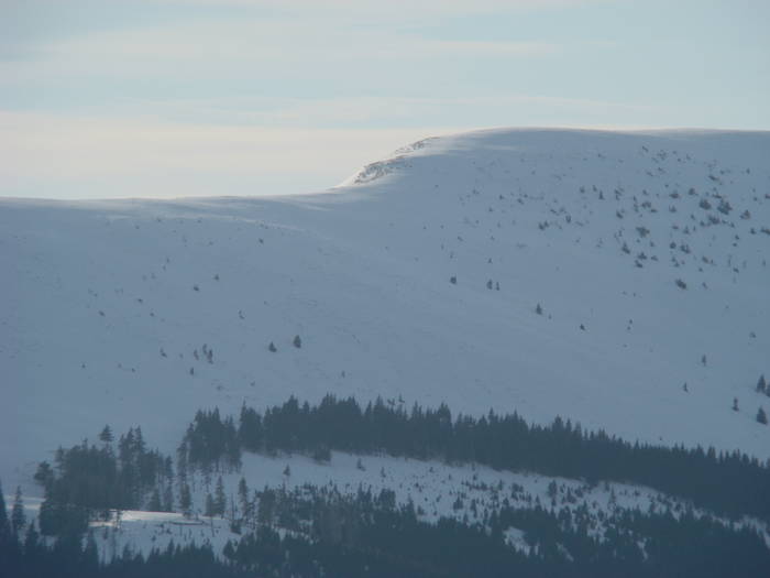 DSC01195 - Bucegi - Valea Izvorul Dorului-Padina