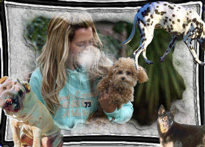 ashley-tisdale-shopping-maui