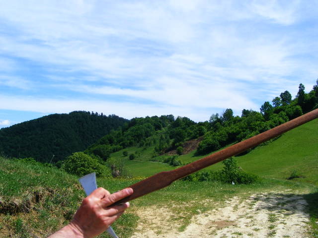 DSCF0538