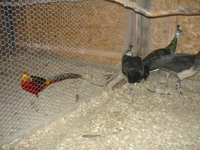 P1000738