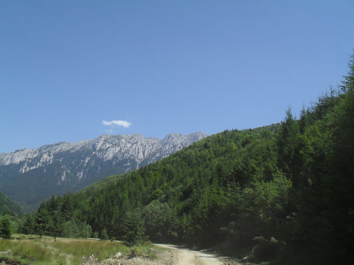 SDC10063 - piatra craiului