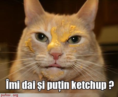 da-mi si ketchup - poze amuzante cu PiSiCi