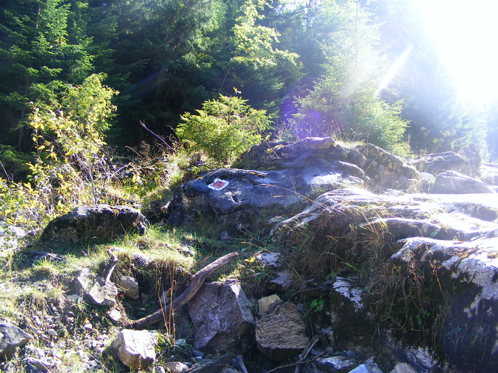 DSCF6304 - muntii Rodnei