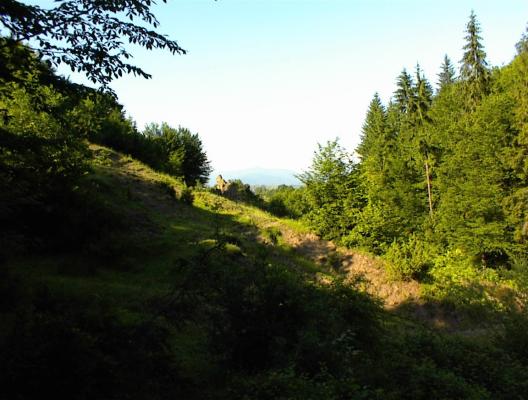 DSC00123 - vatza de jos