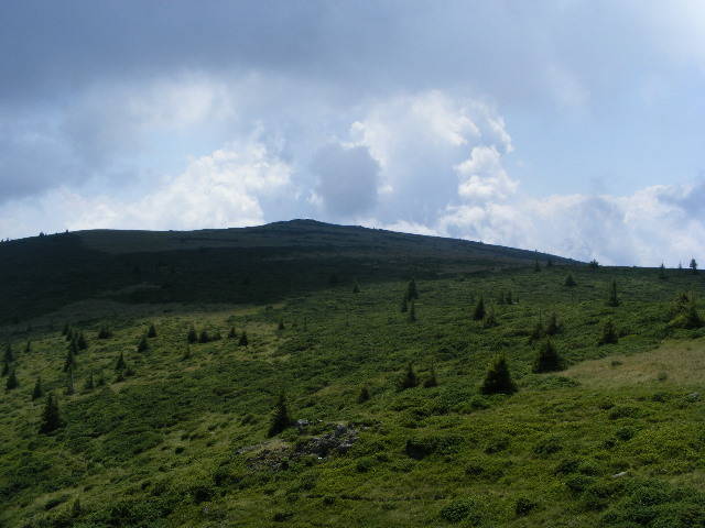 DSCF3162