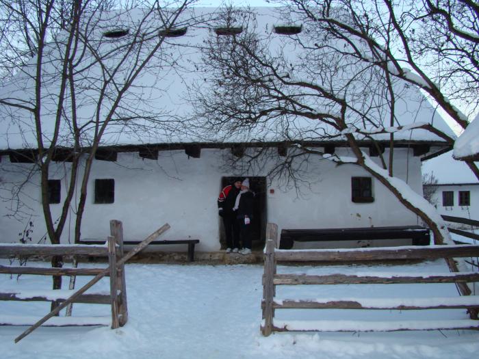 DSC05670 - poze Ianuarie 2009