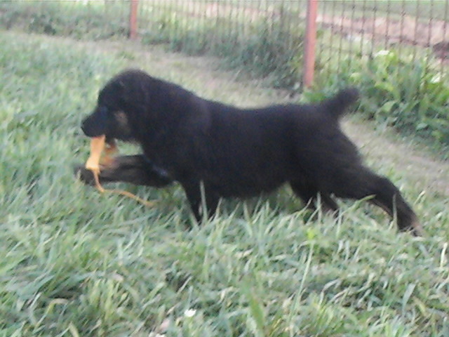 poze 04.05.2009 043