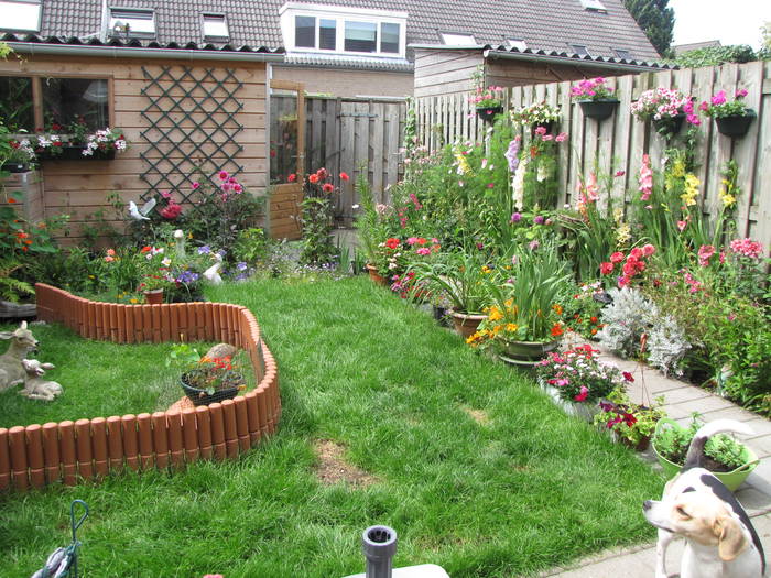 gr.sp. 26 iul 2009 (1)