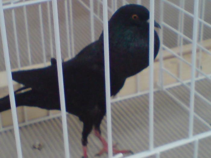 DSC00849