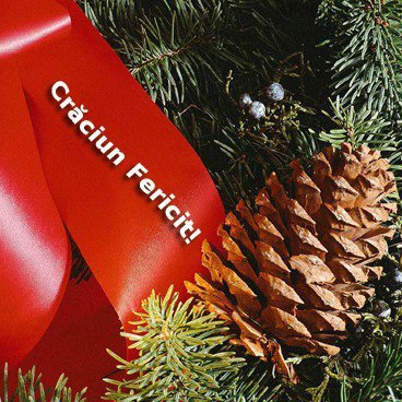 Craciun_fericit59