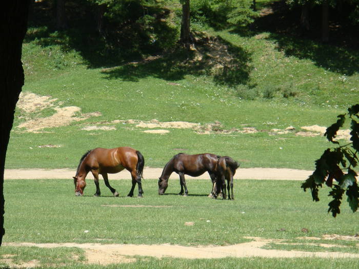 166 - vacanta 23  28 iulie 2009