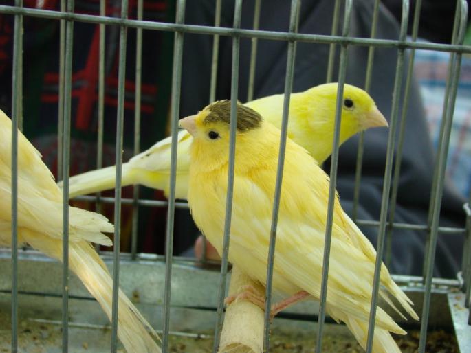DSC00436