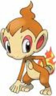 chimchar; chimchar
