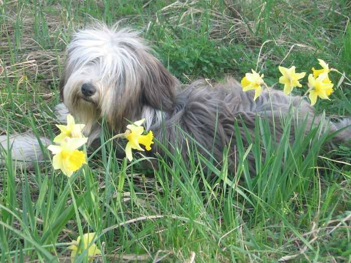 Happy floricica noastra