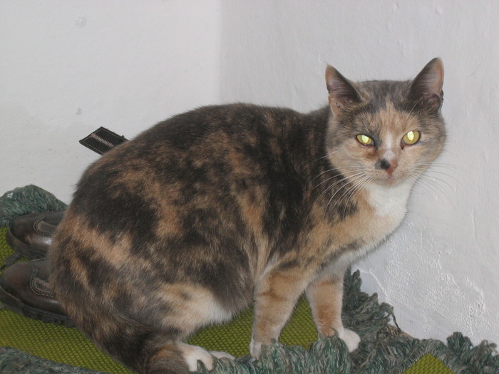 23 dec 2007 057