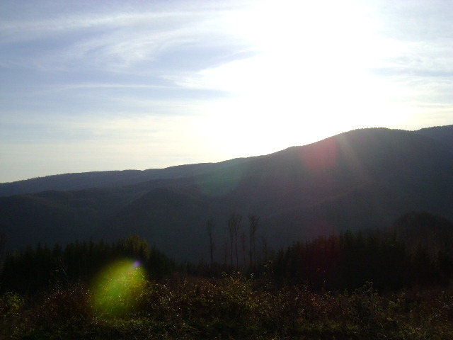 DSC07899 - UN DRUM LA CABANA BOLBOCI