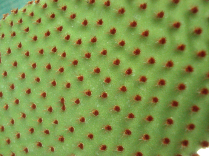 317